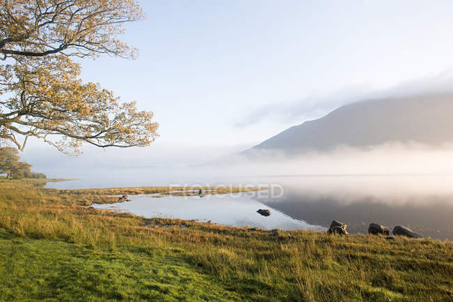 Bassenthwaite Lake, Lake District — Foto stock