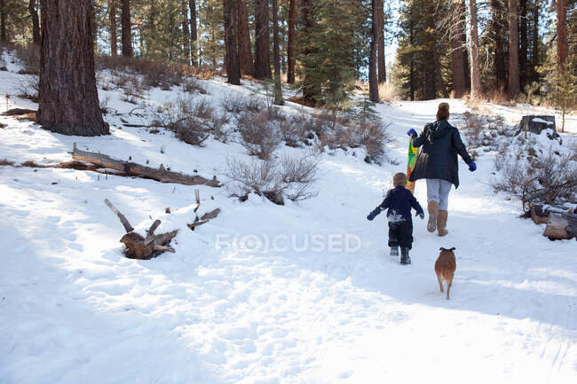 Toddler and grandmother with sledge in snowy forest — Stock Photo