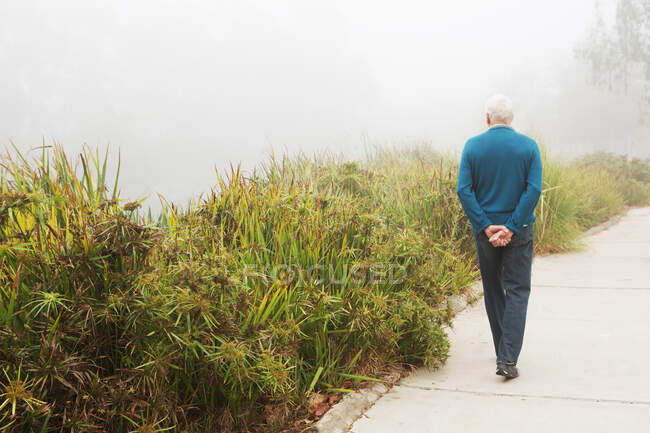 Старший чоловік гуляє в парку — стокове фото