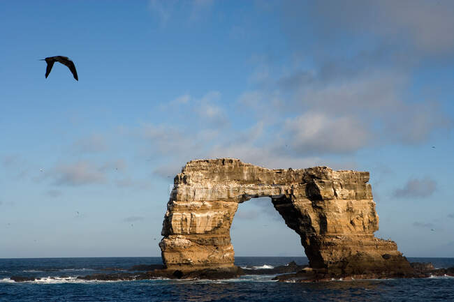 Darwin 's Arch im Meer an sonnigen Tagen — Stockfoto