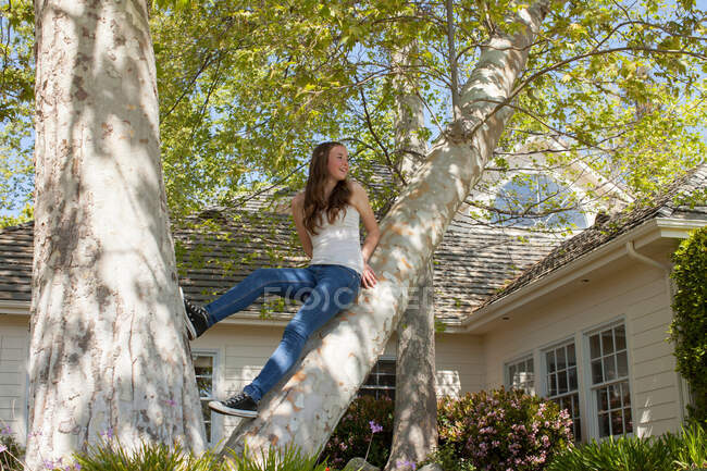 Дівчина-підліток сидить на дереві — стокове фото