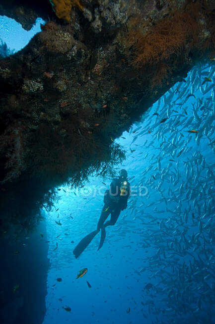 A person scuba diving — Stock Photo