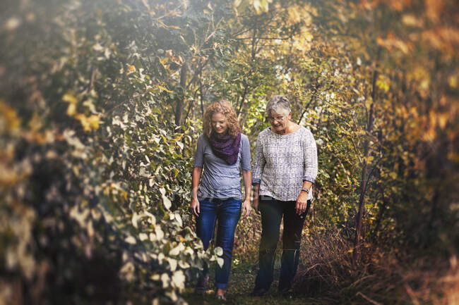 Мать и взрослая дочь, гуляющие осенью по лесу — стоковое фото