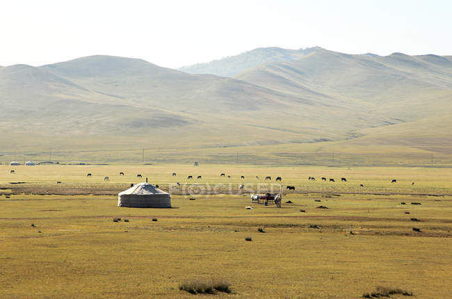 Mongolian steppes landscape — Stock Photo