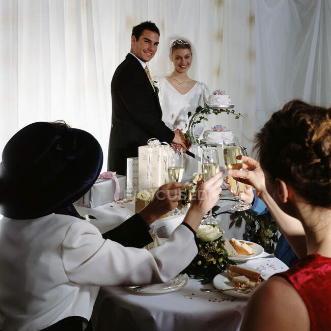 A toast to the newly-weds — Stock Photo