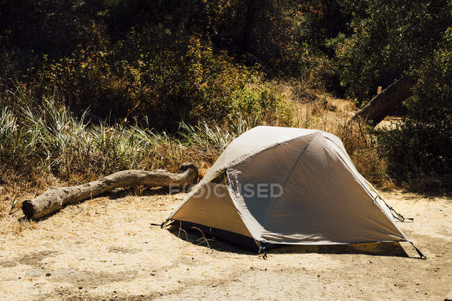 Палатка для кемпинга на пляже — стоковое фото