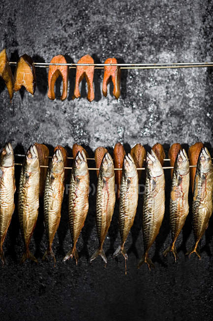 Smoked salmon and herring — Stock Photo