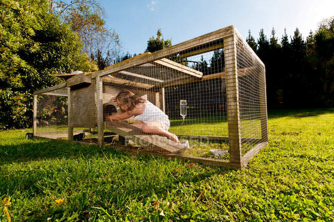 Menina à procura de cobaia em hutch — Fotografia de Stock
