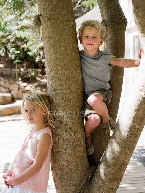 Hermano y hermana trepando árbol - foto de stock