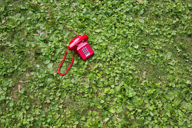 Red retro telephone on lush greeb grass — Stock Photo
