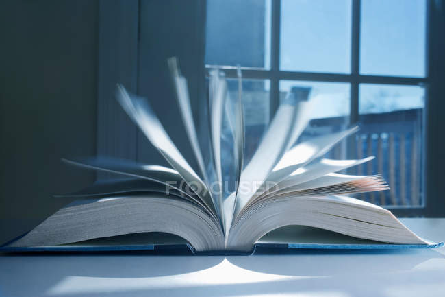 Pages in open book — Stock Photo