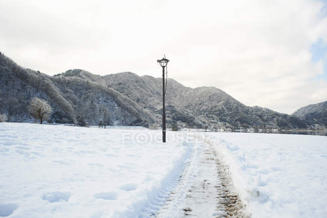 Tyre tracks in snow covered landscape — Stock Photo