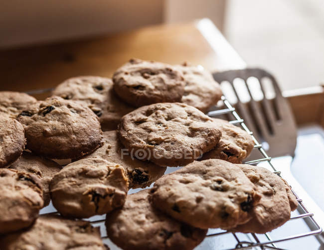Tray of fresh baked cookies — Stock Photo