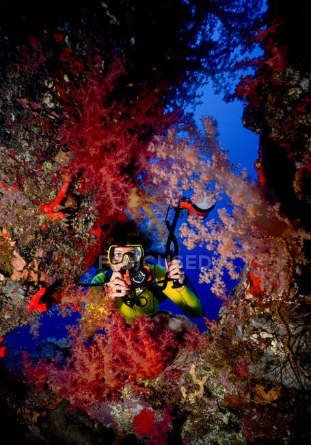 Immersione subacquea con fotocamera . — Foto stock