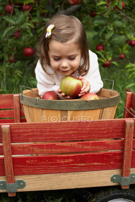 Girl sitting in wooden cart holding apple — Stock Photo