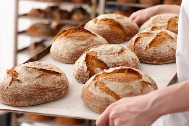 Mani maschili che trasportano vassoio di pane fresco cotto in cucina — Foto stock