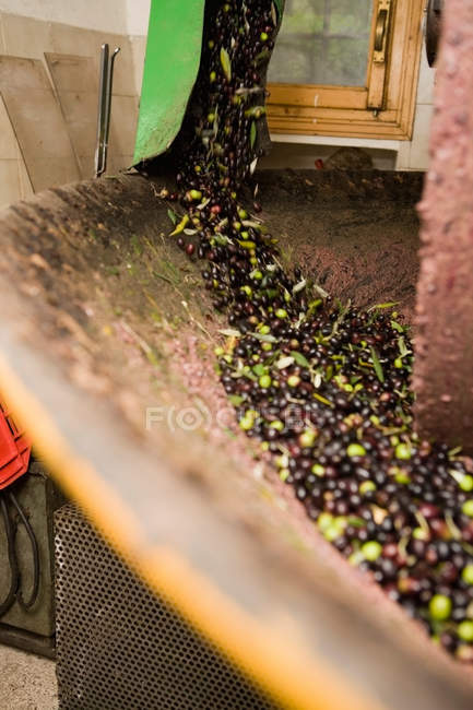 Förderband der Olivenmühle, selektiver Fokus — Stockfoto