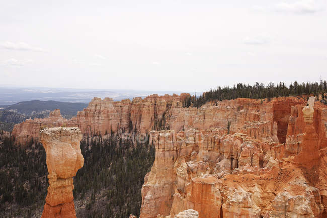 Formation de piliers rocheux dans le canyon de Bryce — Photo de stock