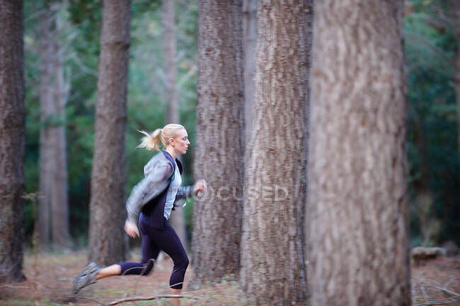 Женщина, бегущая в лесу — стоковое фото