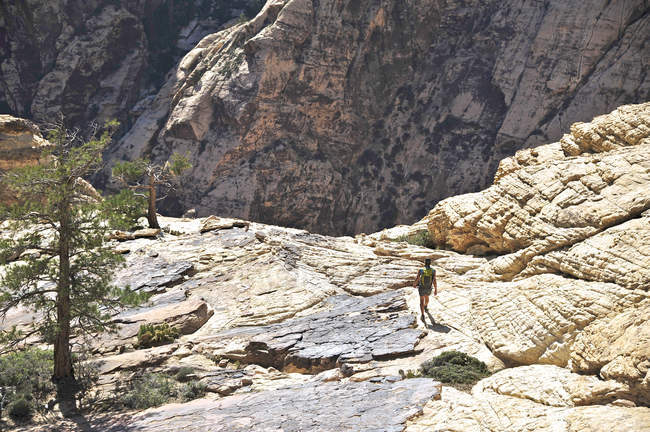 Vista trasera de una joven excursionista caminando sobre roca - foto de stock