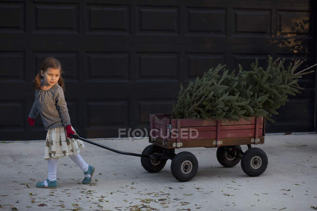 Retrato de uma menina puxando carrinho com árvore de natal — Fotografia de Stock