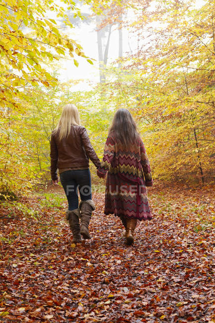 Visão traseira da mãe e da filha andando na floresta — Fotografia de Stock