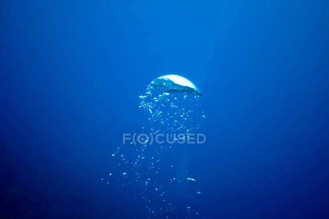Underwater view of air bubble from diver — Stock Photo