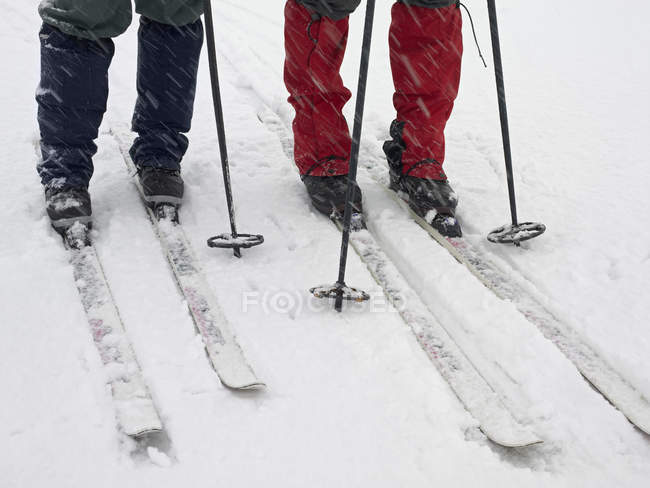 Imagen recortada de los esquiadores caminando sobre la nieve - foto de stock