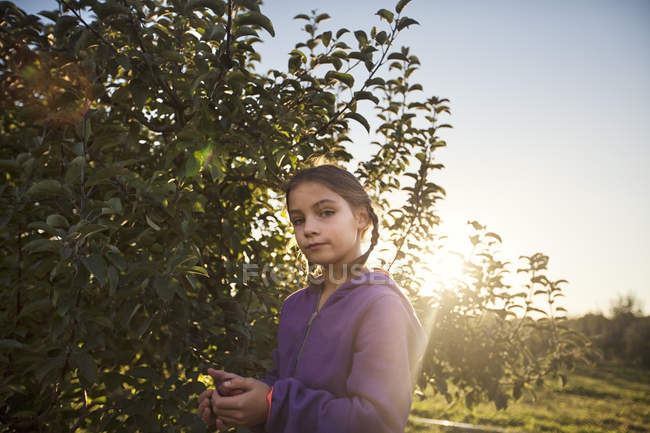 Mädchen im Obstgarten pflückt Apfel vom Baum und blickt in die Kamera — Stockfoto