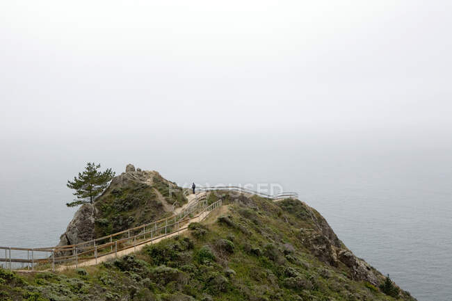 Uomo guardando la vista, Muir Beach Overlook, Golden Gate National Park, California, USA — Foto stock