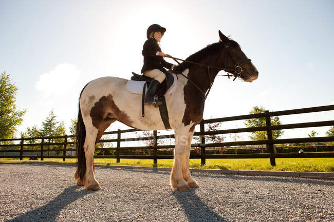 Menino cavalo equitação na luz solar — Fotografia de Stock