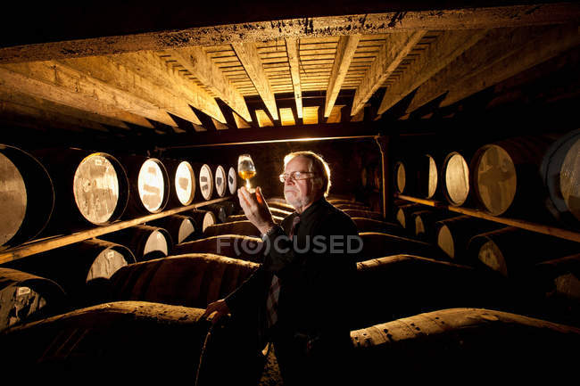 Worker testing whisky in distillery, selective focus — Stock Photo