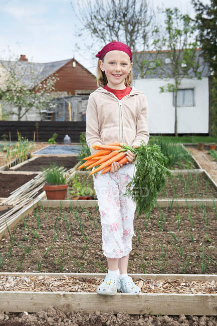Sonriente chica sosteniendo montón de zanahorias - foto de stock