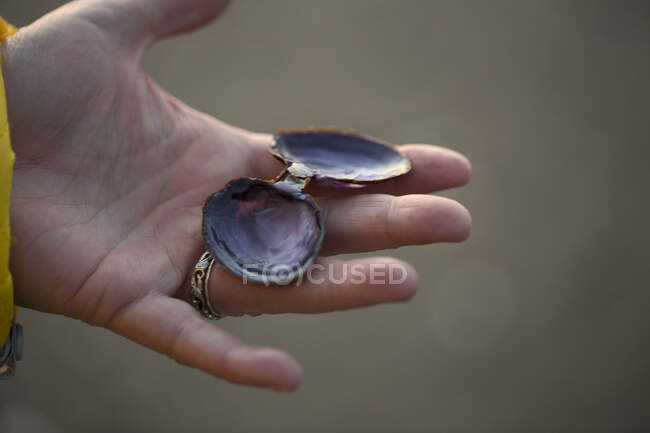 Woman holding open clam shell, close-up — Stock Photo