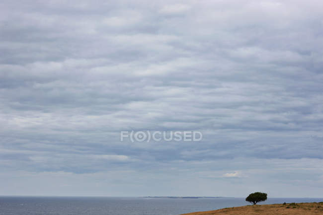 Хмарне небо над береговою лінією — стокове фото