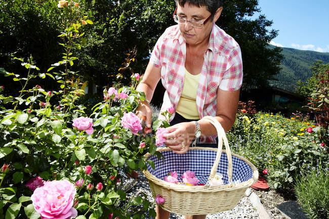 Femme cueillette de fleurs dans le jardin — Photo de stock