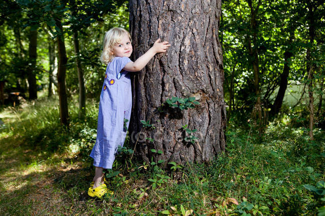 Chica abrazando árbol en el bosque - foto de stock