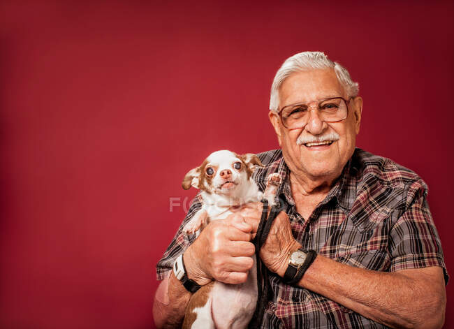 Hombre mayor sosteniendo perro pequeño - foto de stock