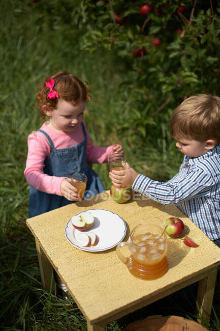 Crianças sentadas à mesa bebendo suco de maçã fresco — Fotografia de Stock