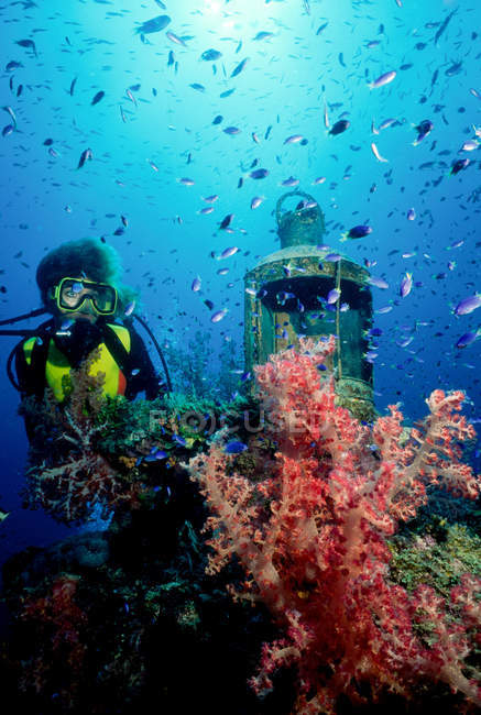 Immersione subacquea sul naufragio . — Foto stock