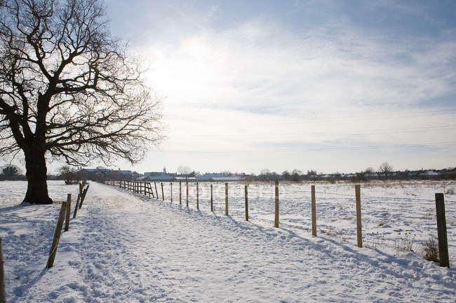 Caminho e campo coberto de neve — Fotografia de Stock