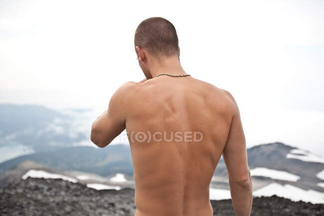 Rear view of topless man, Garibaldi Fescial Park, Британская Колумбия, Канада — стоковое фото