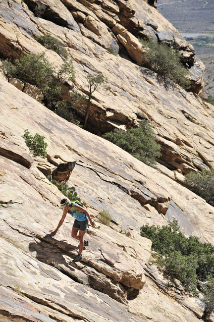 Young female rock climber climbing steep rockface,  Mount Wilson, Nevada, USA — Stock Photo
