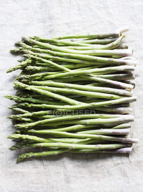 Asparagus bunch in row — Stock Photo