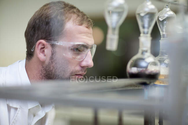 Œnologue surveillant l'analyse des échantillons en laboratoire — Photo de stock