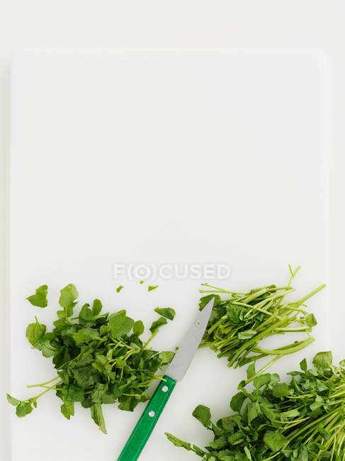 Watercress on cutting board — Stock Photo