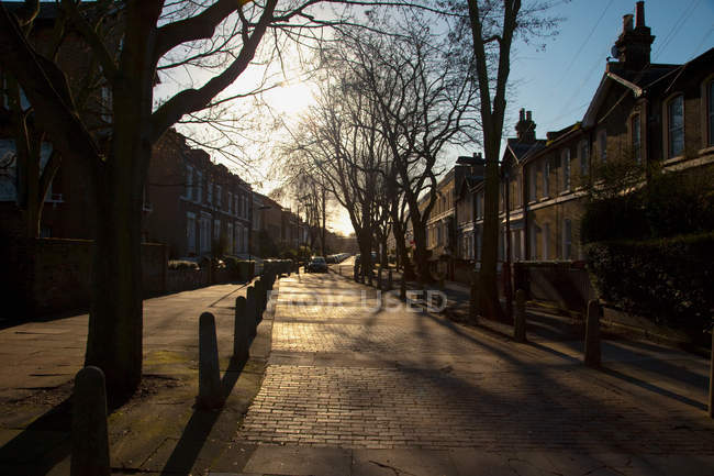 Rua com casas e árvores nuas à luz do sol — Fotografia de Stock