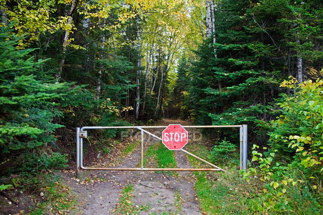 Зупинити знак на воротах — стокове фото