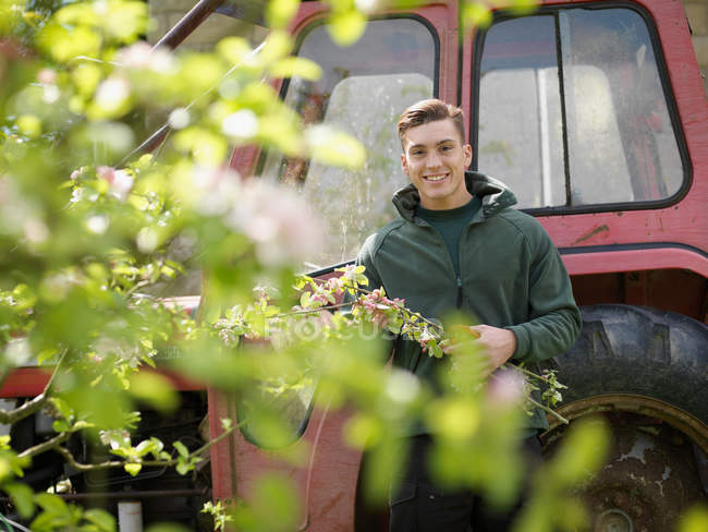 Mann sammelt Blüten und Traktor — Stockfoto