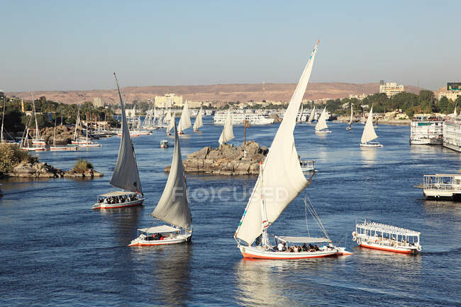 Barche Felucca sulla cataratta del Nilo — Foto stock